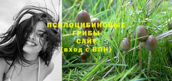 индика Инта