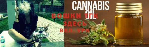 экстази Каменка