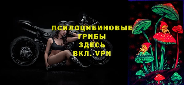 mdpv Иннополис