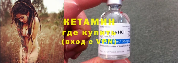индика Инта