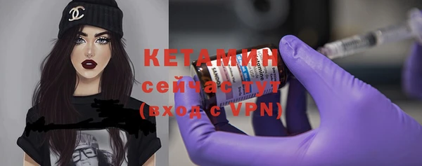 индика Инта