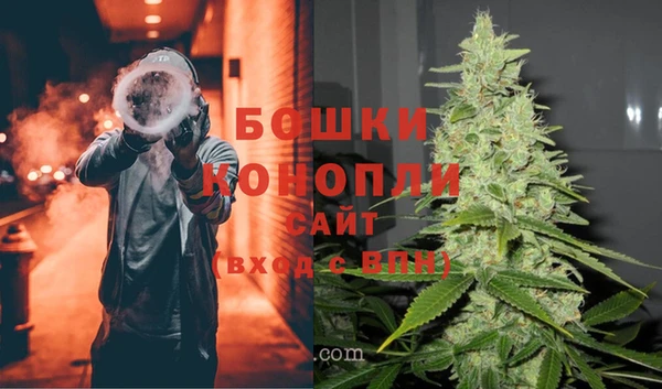 прущие грибы Каменск-Шахтинский