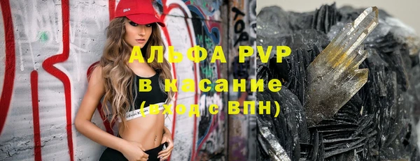 индика Инта