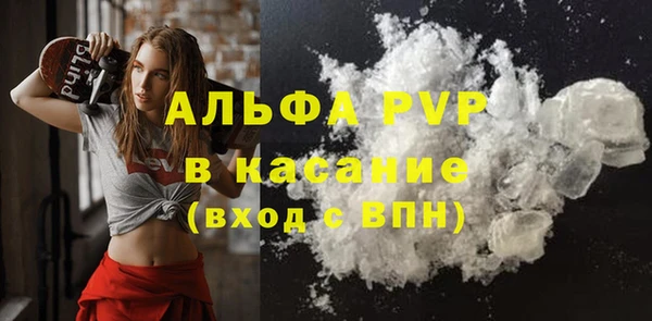 индика Инта