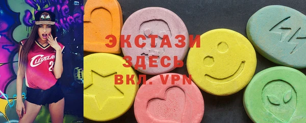 индика Инта