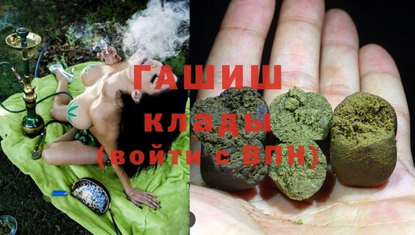 индика Инта