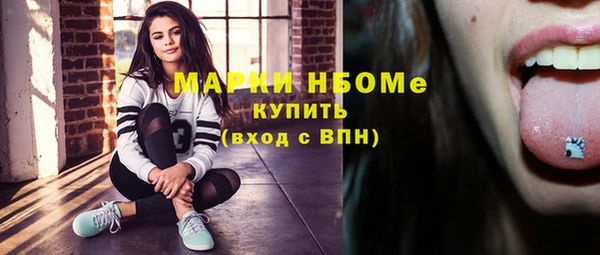 индика Инта