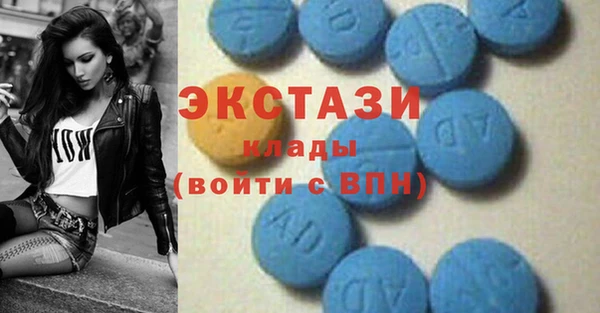 индика Инта