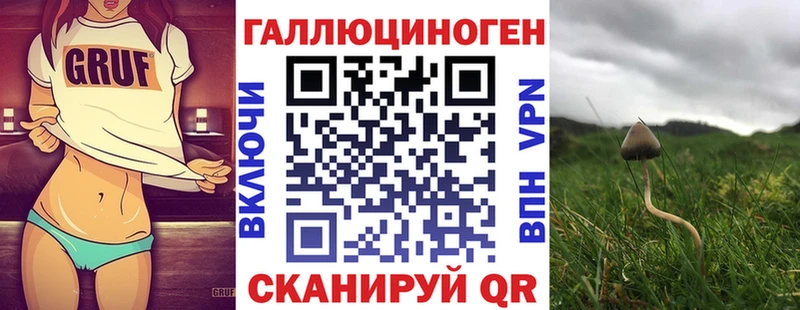 Галлюциногенные грибы мицелий  MEGA ССЫЛКА  Краснокамск  закладка 